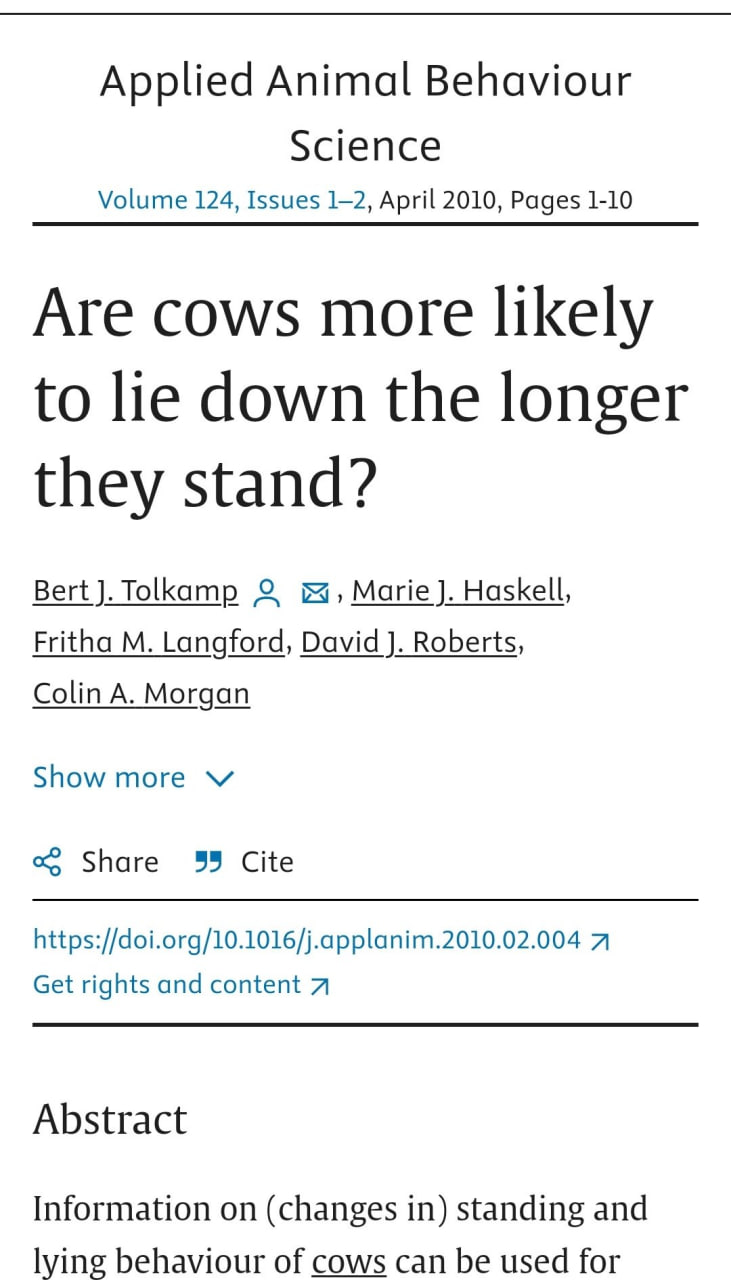 Are cows more likely to fall down the longer they stand?